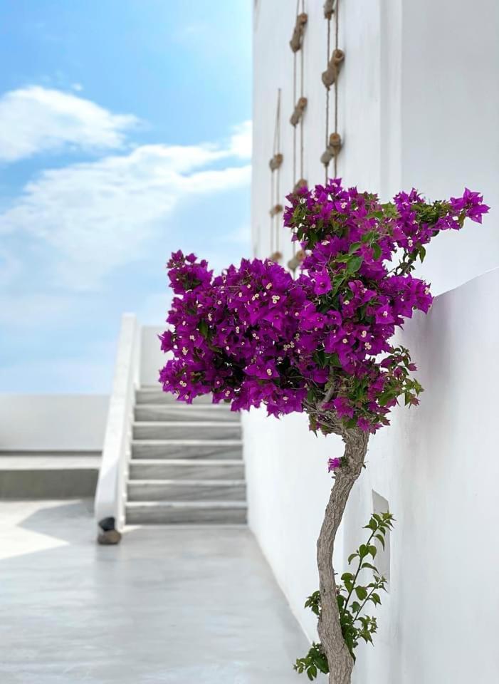 Hermoso Luxury Suites Monólithos Exterior foto